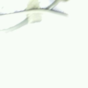 Meet your Posher, Garrett